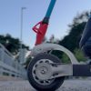 Universal Brakes for Classic Roller Skis in use